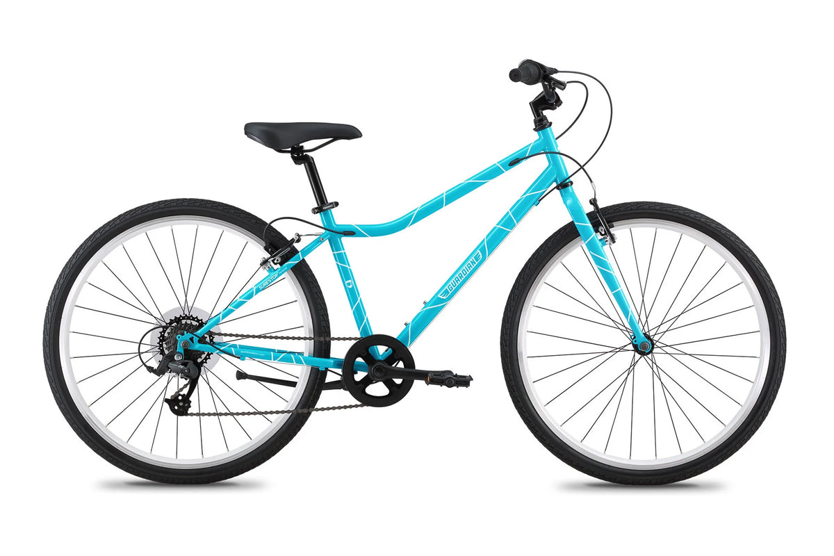 26 Inch Bike